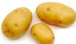 土豆视频,揭秘热门短视频背后的创作故事